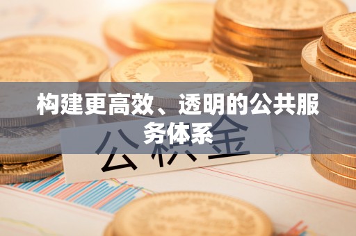 舒城构建更高效、透明的公共服务体系