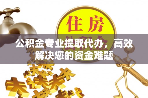 舒城公积金专业提取代办，高效解决您的资金难题
