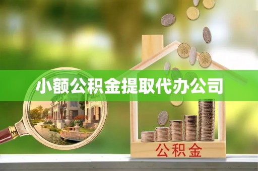 舒城小额公积金提取代办公司