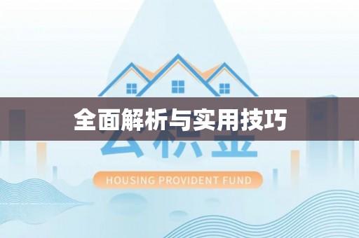 舒城全面解析与实用技巧